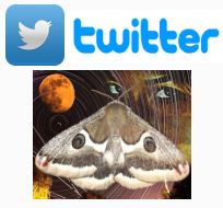Catch our latest tweets here...
